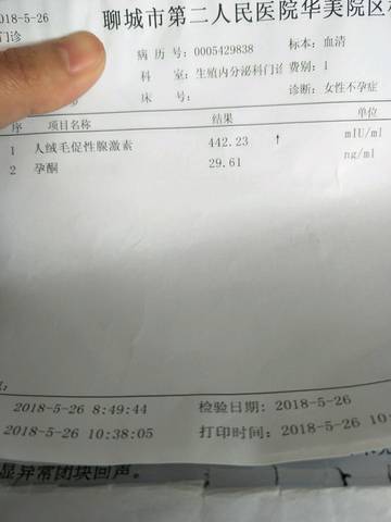 journal_insert_pic_1020829673