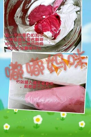 journal_insert_pic_1022091242