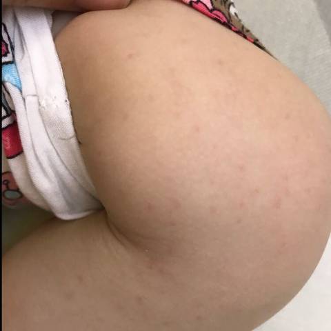 journal_insert_pic_1022143731