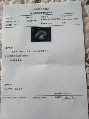 journal_insert_pic_1021709744