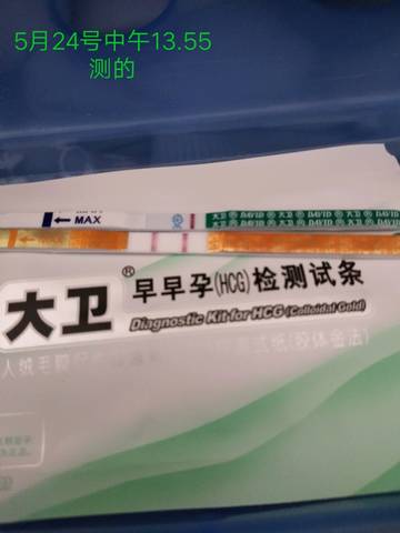journal_insert_pic_1022928021