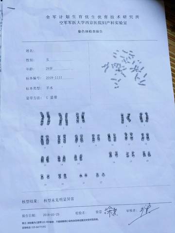 journal_insert_pic_1022701733