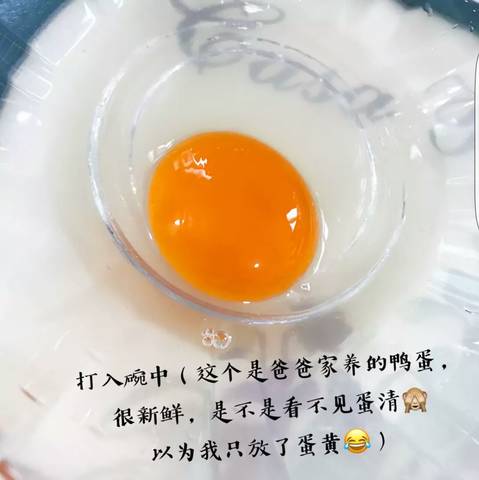 journal_insert_pic_1022394175
