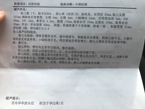 journal_insert_pic_1023003281