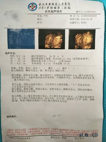 journal_insert_pic_1023433553