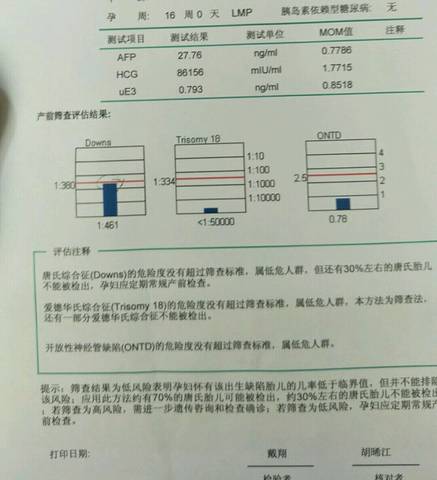 journal_insert_pic_1023160552