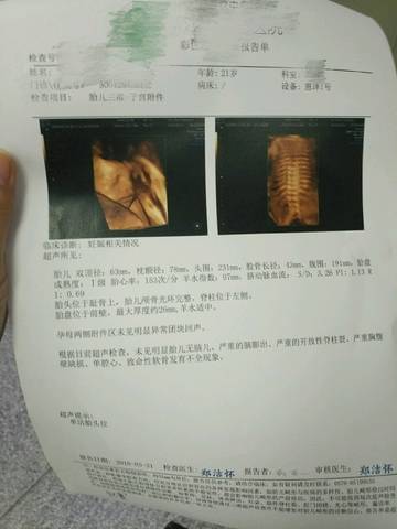 journal_insert_pic_1024055716