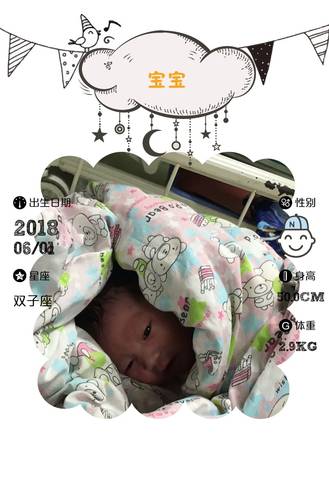 journal_insert_pic_1024606734