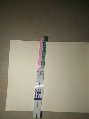 journal_insert_pic_1024880308