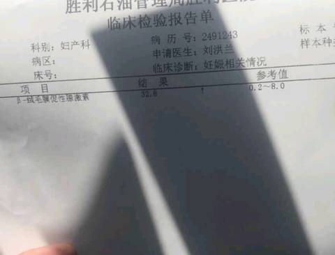 journal_insert_pic_1024882122