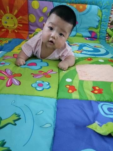 journal_insert_pic_1025686496