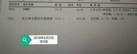 journal_insert_pic_1025727500
