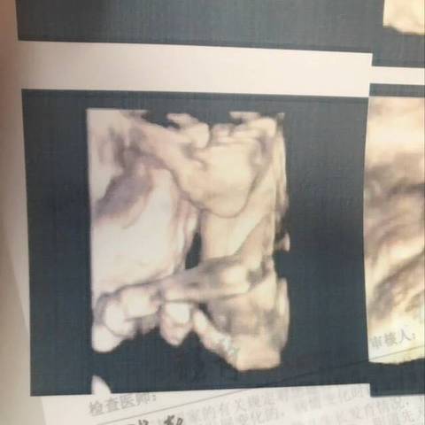 journal_insert_pic_1027241415