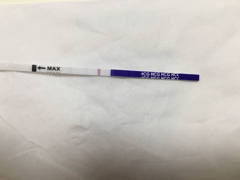 journal_insert_pic_1027610553