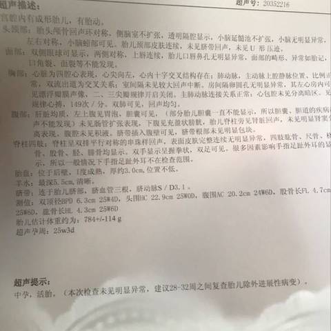 journal_insert_pic_1027241433