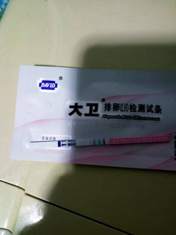 journal_insert_pic_1027616187