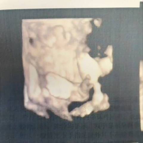 journal_insert_pic_1027241414