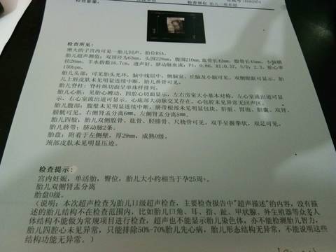 journal_insert_pic_1027599892