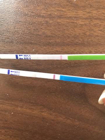 journal_insert_pic_1027470702