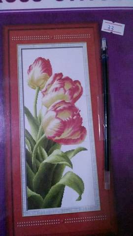 journal_insert_pic_1028007848