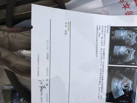 journal_insert_pic_1028224869