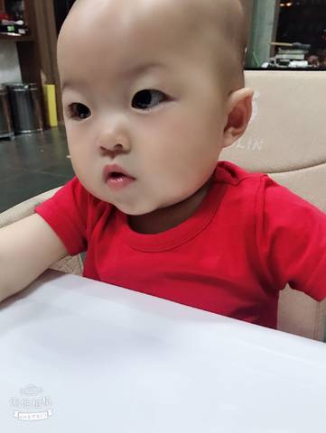 journal_insert_pic_1027835863