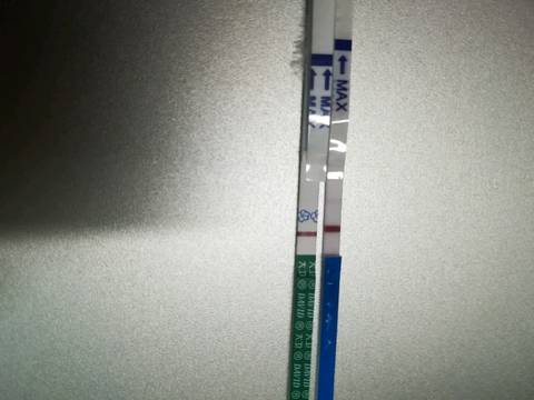 journal_insert_pic_1028227718