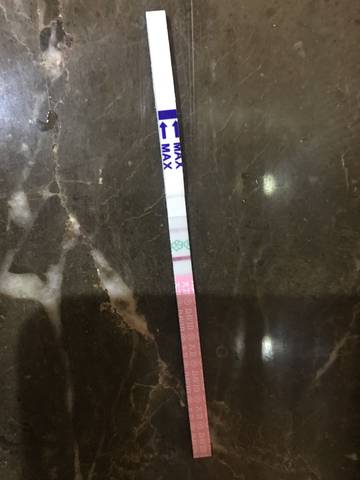 journal_insert_pic_1029244765