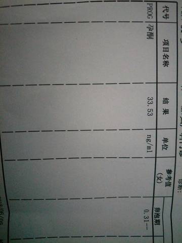 journal_insert_pic_1028605049