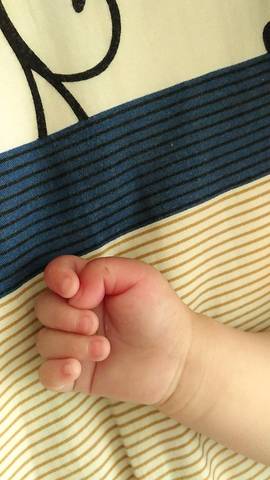 journal_insert_pic_1028860398