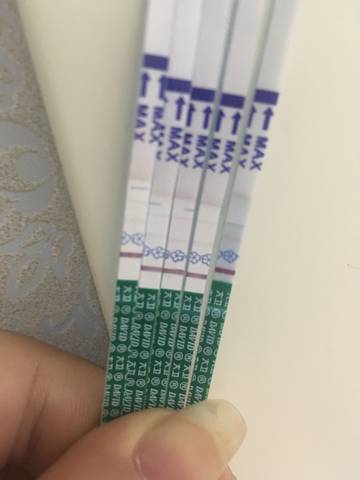 journal_insert_pic_1028745868