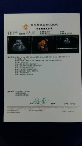 journal_insert_pic_1029722078