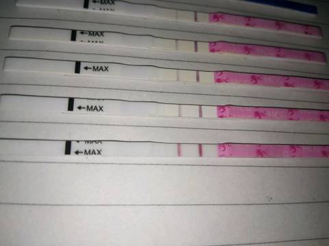 journal_insert_pic_1029676064