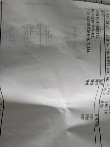 journal_insert_pic_1030060024