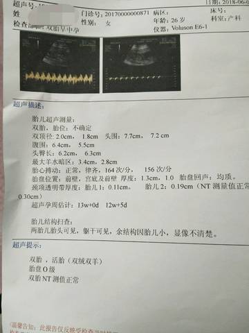journal_insert_pic_1030345277