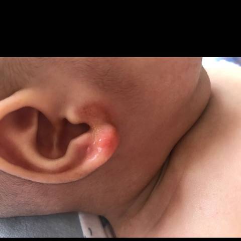 journal_insert_pic_1030332262