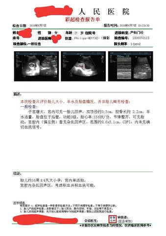 journal_insert_pic_1030328276
