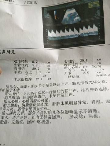 journal_insert_pic_1030404305