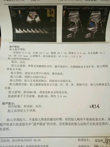 journal_insert_pic_1031056862