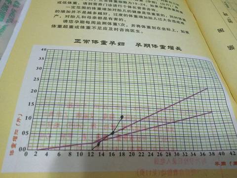 journal_insert_pic_1031791333