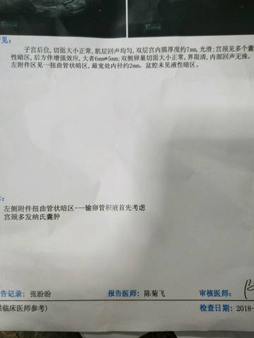 journal_insert_pic_1031824148