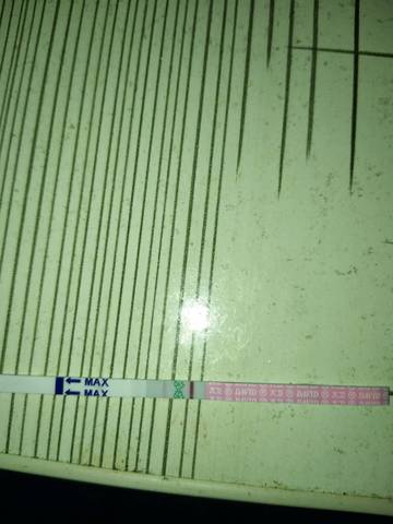 journal_insert_pic_1031812310