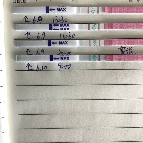 journal_insert_pic_1031528703