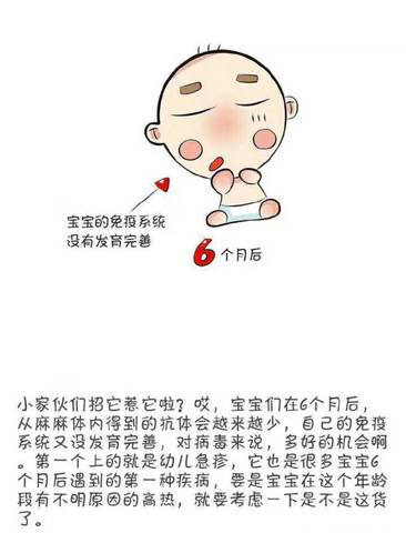 journal_insert_pic_1031519028