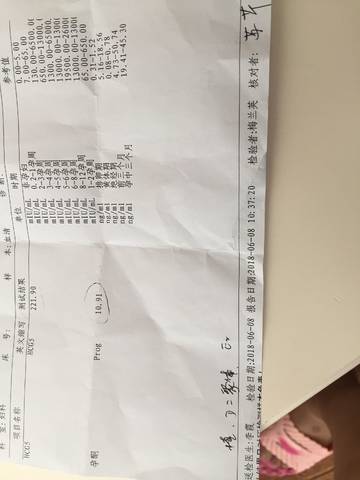 journal_insert_pic_1031600478