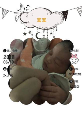 journal_insert_pic_1032549162