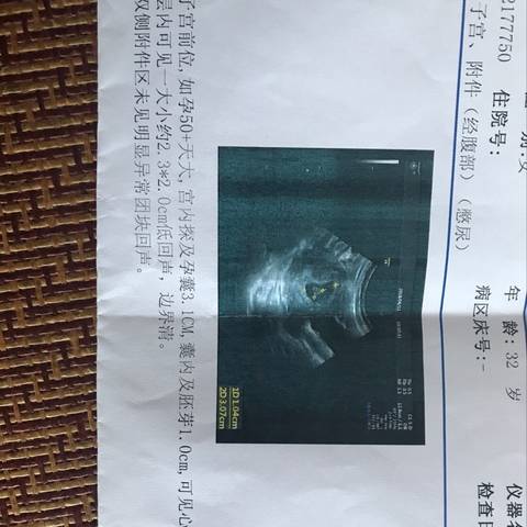 journal_insert_pic_1032314949