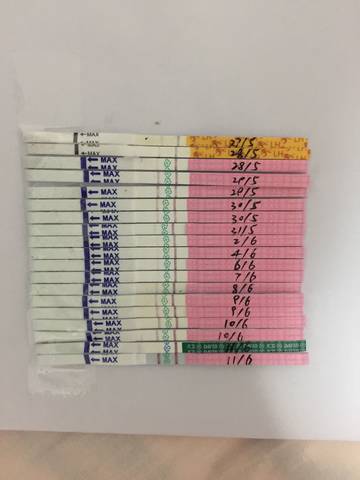 journal_insert_pic_1032762992