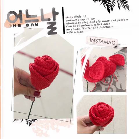 journal_insert_pic_1032611717