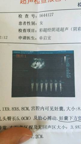 journal_insert_pic_1033057781